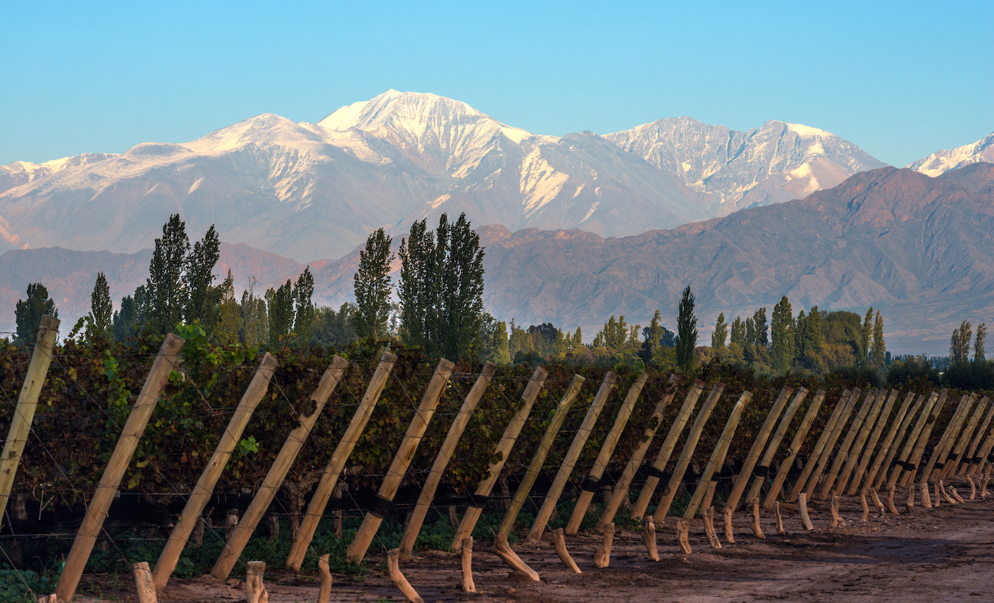 maratón de mendoza