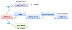 entrenamiento propioceptivo