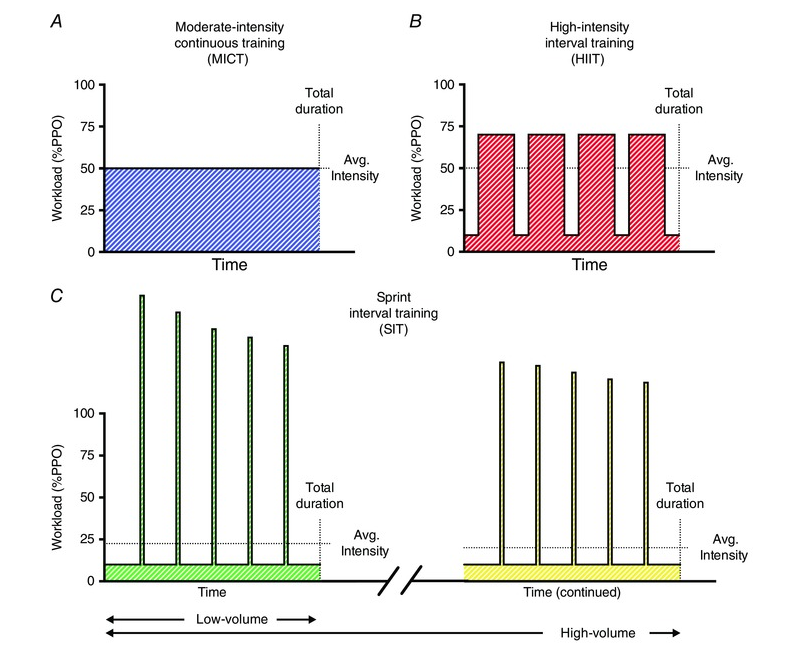 High intensity interval. High intensity Interval Sprint. High-intensity Interval Training. The Physiology of Training for High Performance. What are Low intensity exercise.